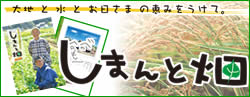 しまんと畑