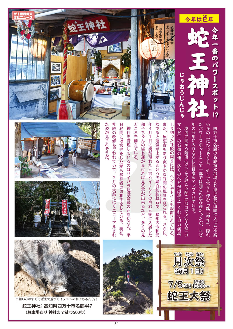 ͂` vol.77