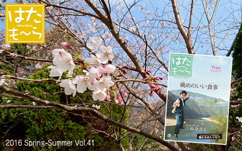͂`@vol-41@2016