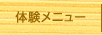 体験メニュー