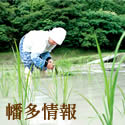 幡多情報