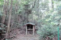 御霊神社　～ごりょうじんじゃ～