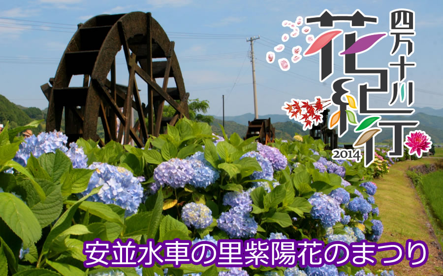 四万十川花紀行2014　安並水車の里紫陽花のまつり