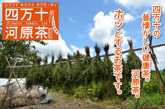 四万十の昔懐かしい健康茶。河原茶。