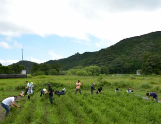 04