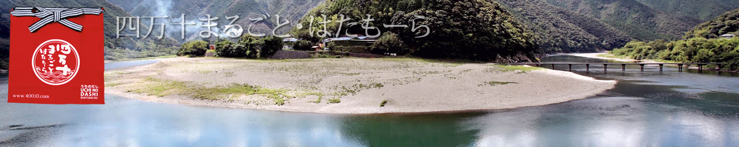 概要
