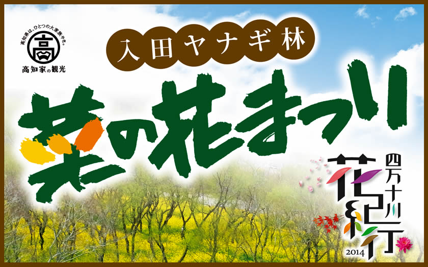 ~四万十川花紀行~ 入田ヤナギ林 菜の花まつり